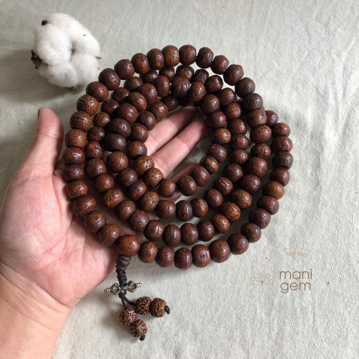 trang hat bo de phat nhan 1