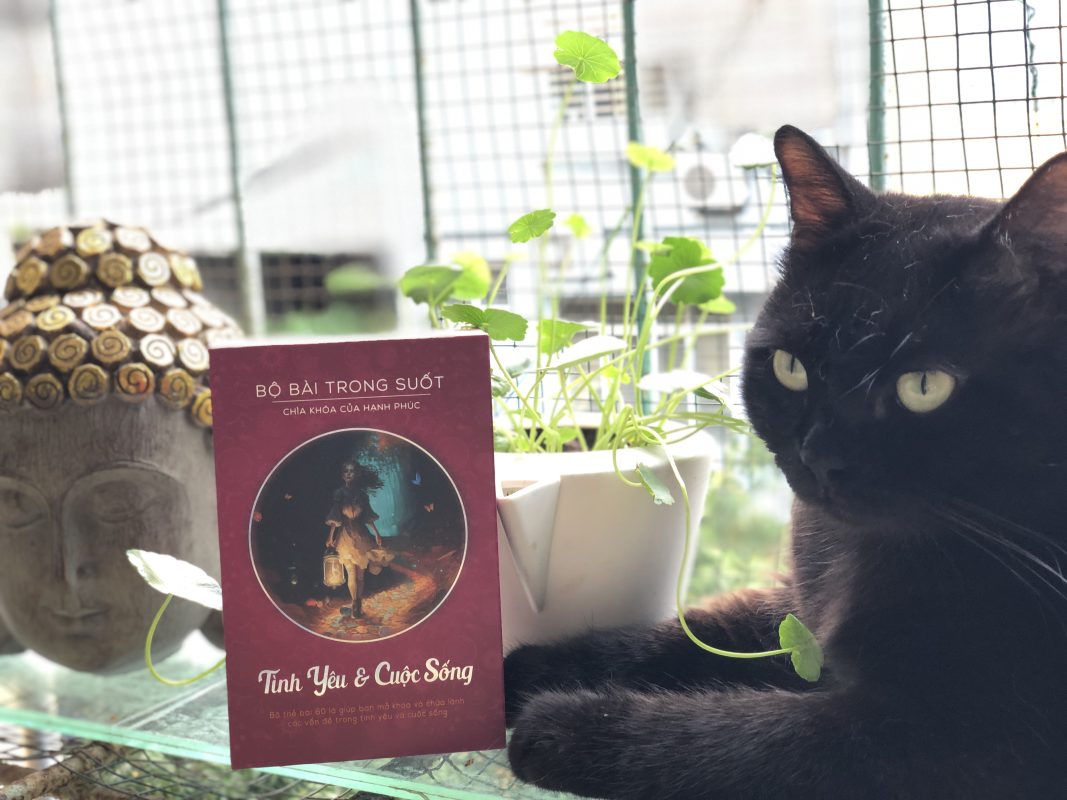 bộ bài trong suốt "tình yêu và cuộc sống"