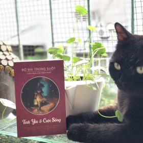 bộ bài trong suốt "tình yêu và cuộc sống"